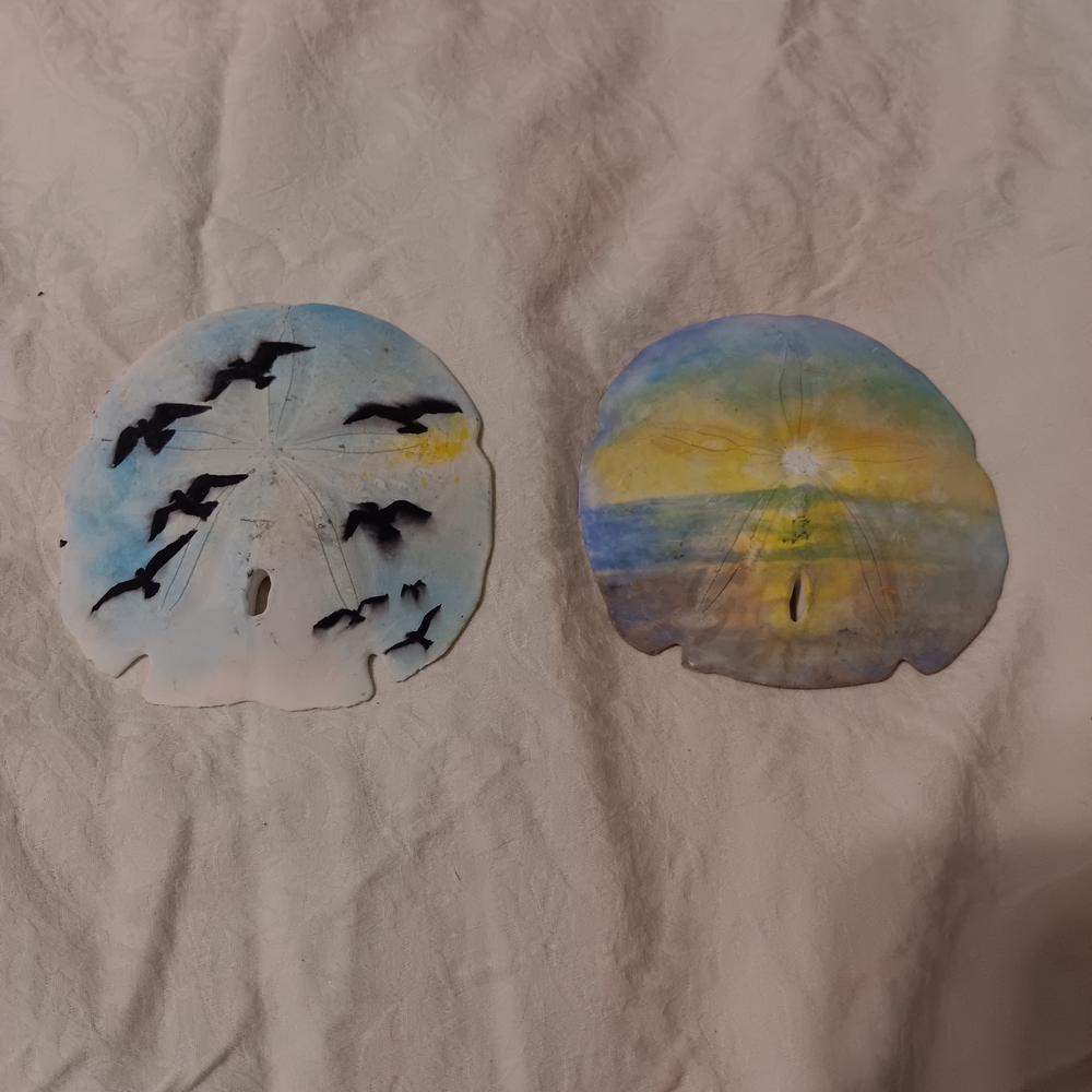 Hand-Painted Sand Dollar🧸 Home Accents Decor - Set of 2